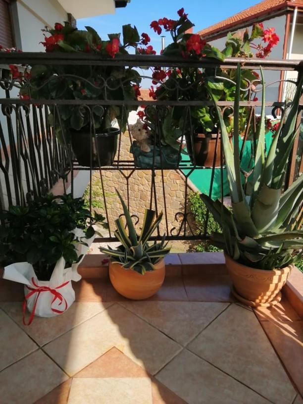 Guesthouse Athanasiou Káto Loutrákion エクステリア 写真