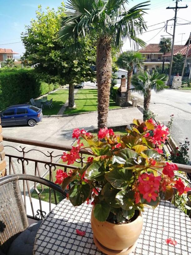 Guesthouse Athanasiou Káto Loutrákion エクステリア 写真